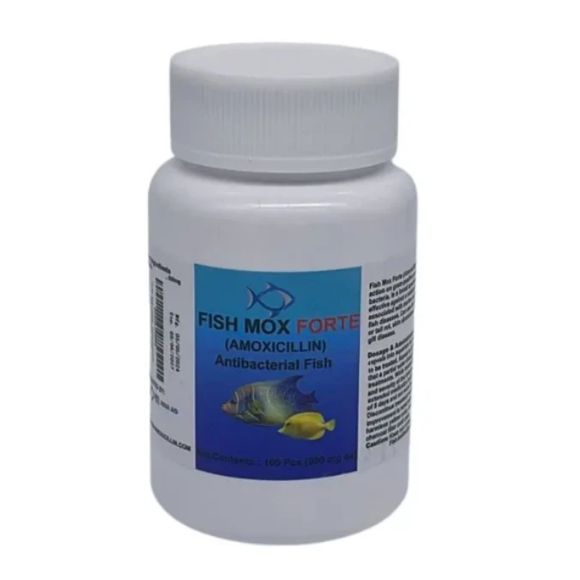 Fish Mox 500mg – Juicy Skate