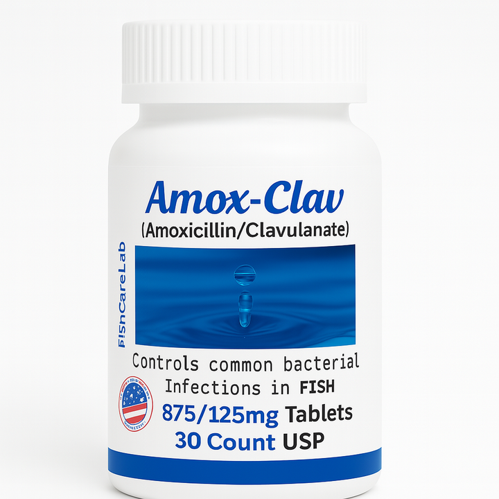 Fish Amoxicillin Clavulanate 875/125mg – 30 Count | Thomas Labs