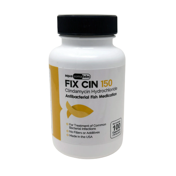 Fish Clindamycin - Aquarium antibiotics 150 mg 100 Capsules Default Title - Juicy Skate
