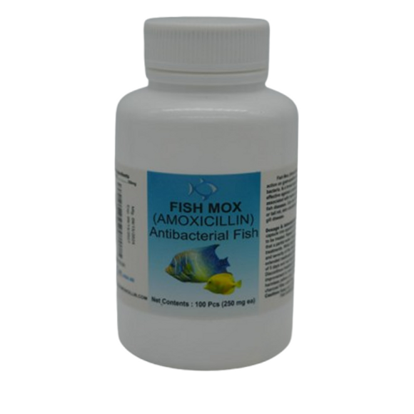 Fish Mox Amoxicillin 250 mg Capsules 100 Count - Juicy Skate