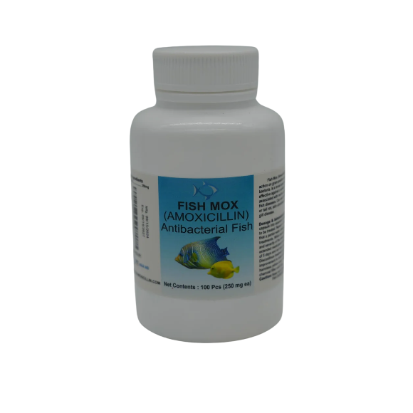 Fish Mox Amoxicillin 250 mg Capsules 30 Count - Juicy Skate