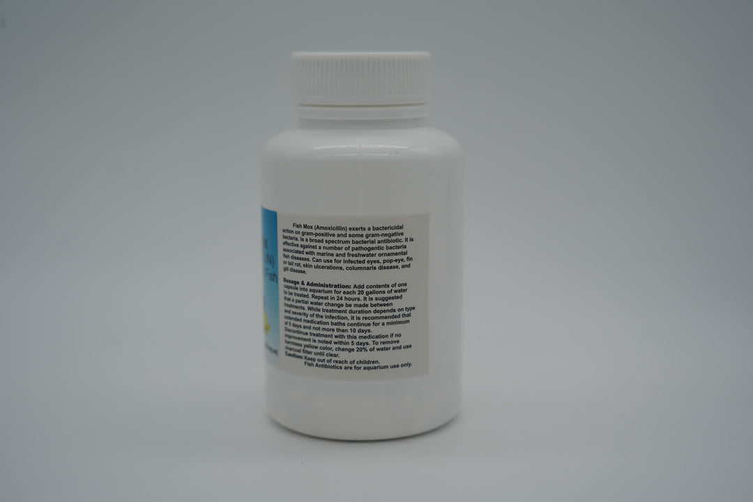 Fish Mox Amoxicillin 250 mg Capsules 30 Count - Juicy Skate