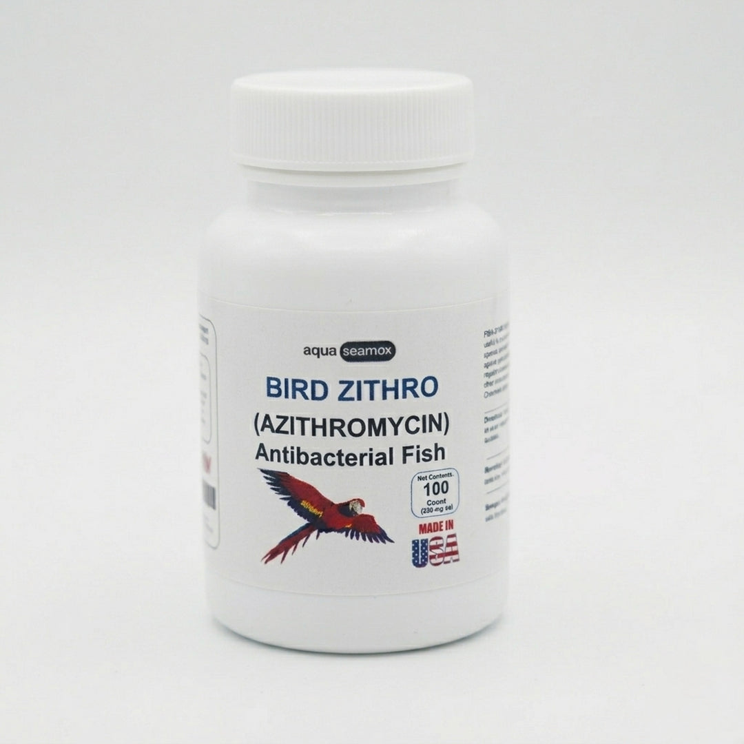 Bird Zithro 250mg - 100ct