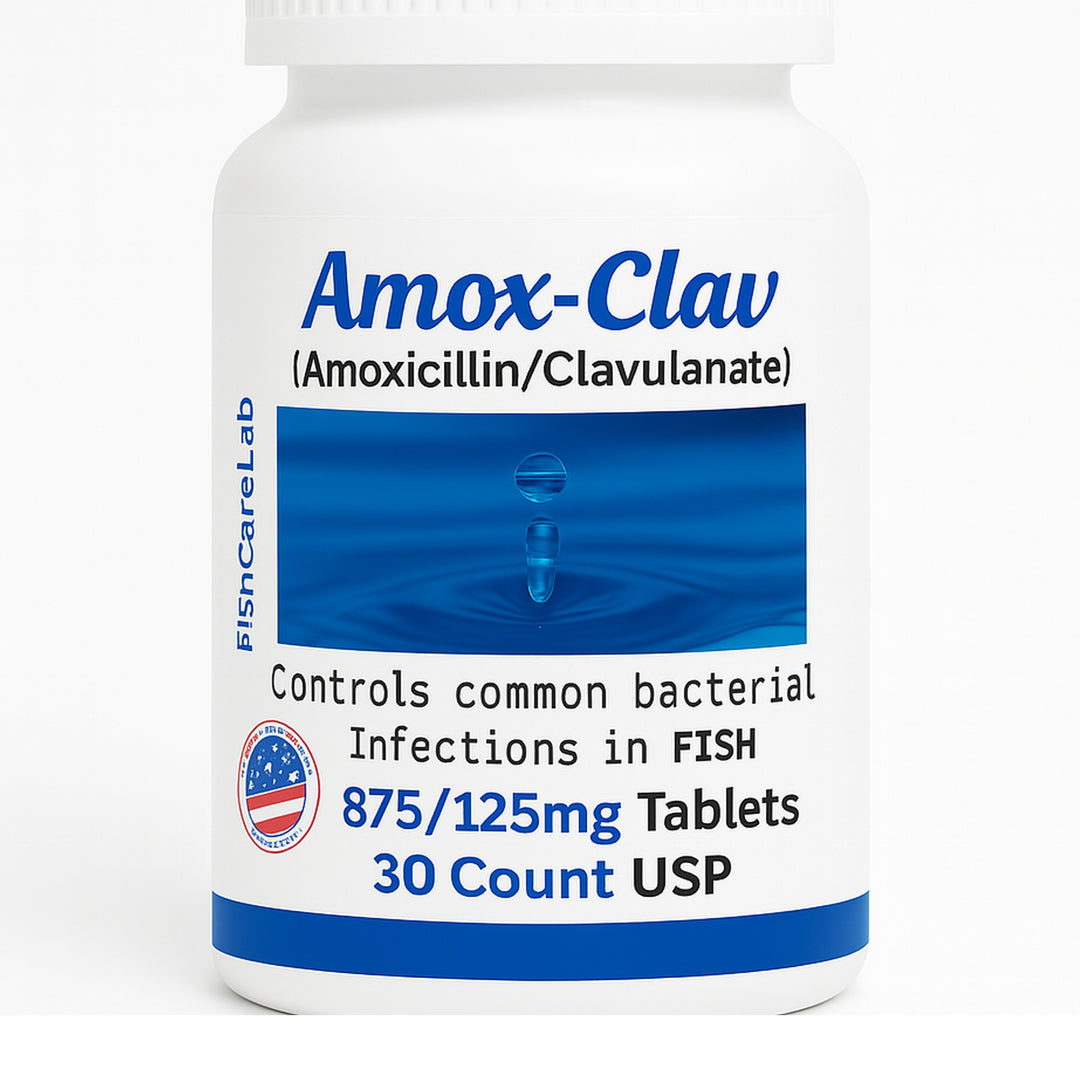 Fish Amoxicillin Clavulanate 875/125mg – 30 Count | Thomas Labs