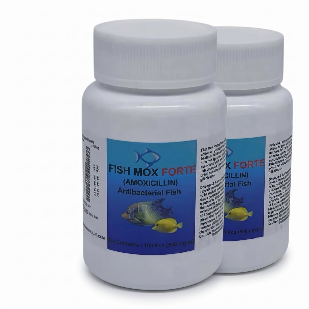 Fish Mox 500mg (Amoxicillin) 2-Pack – 2 × 100 ct