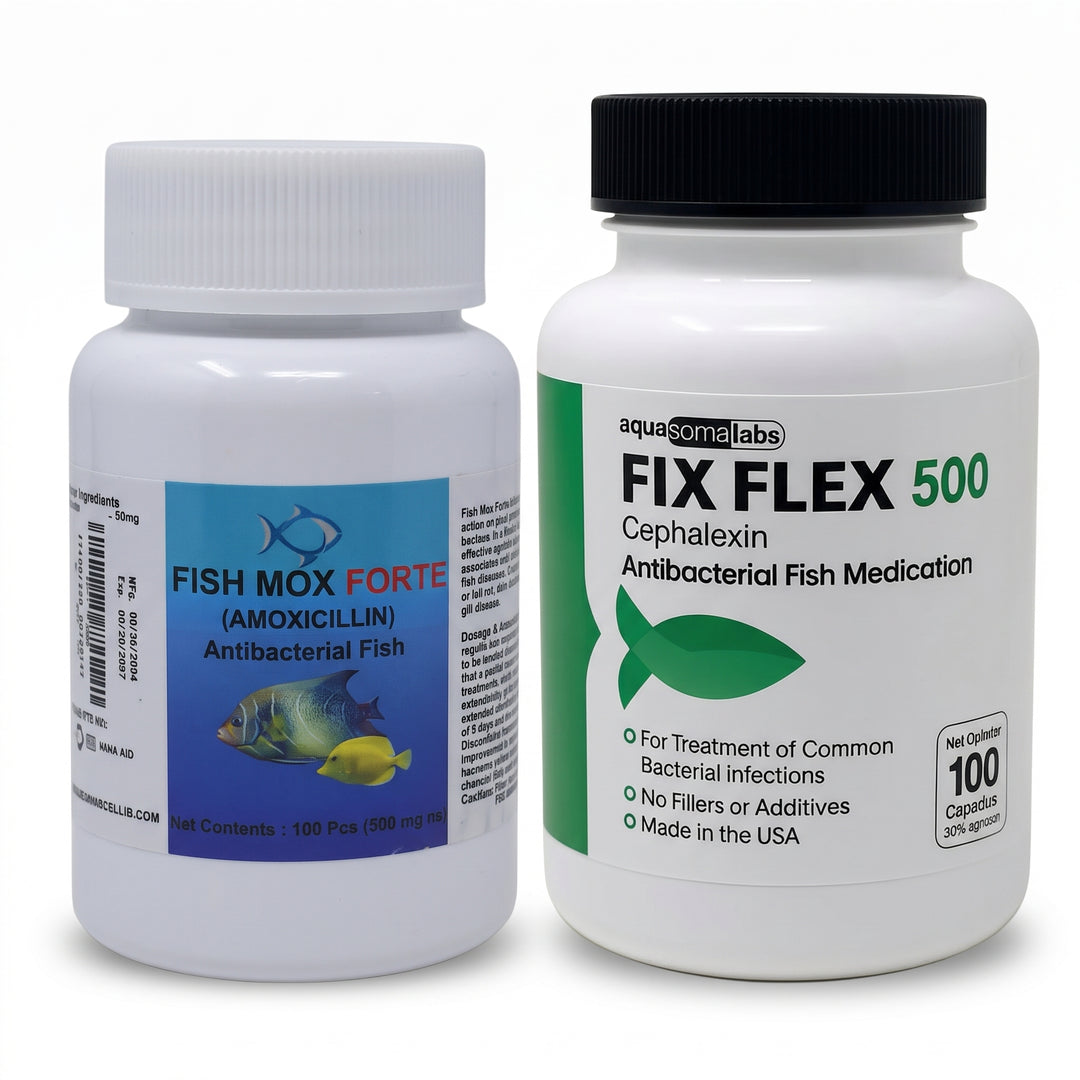 Fish Mox 500mg + Aqua Ceph 500mg Pack – 100 ct each