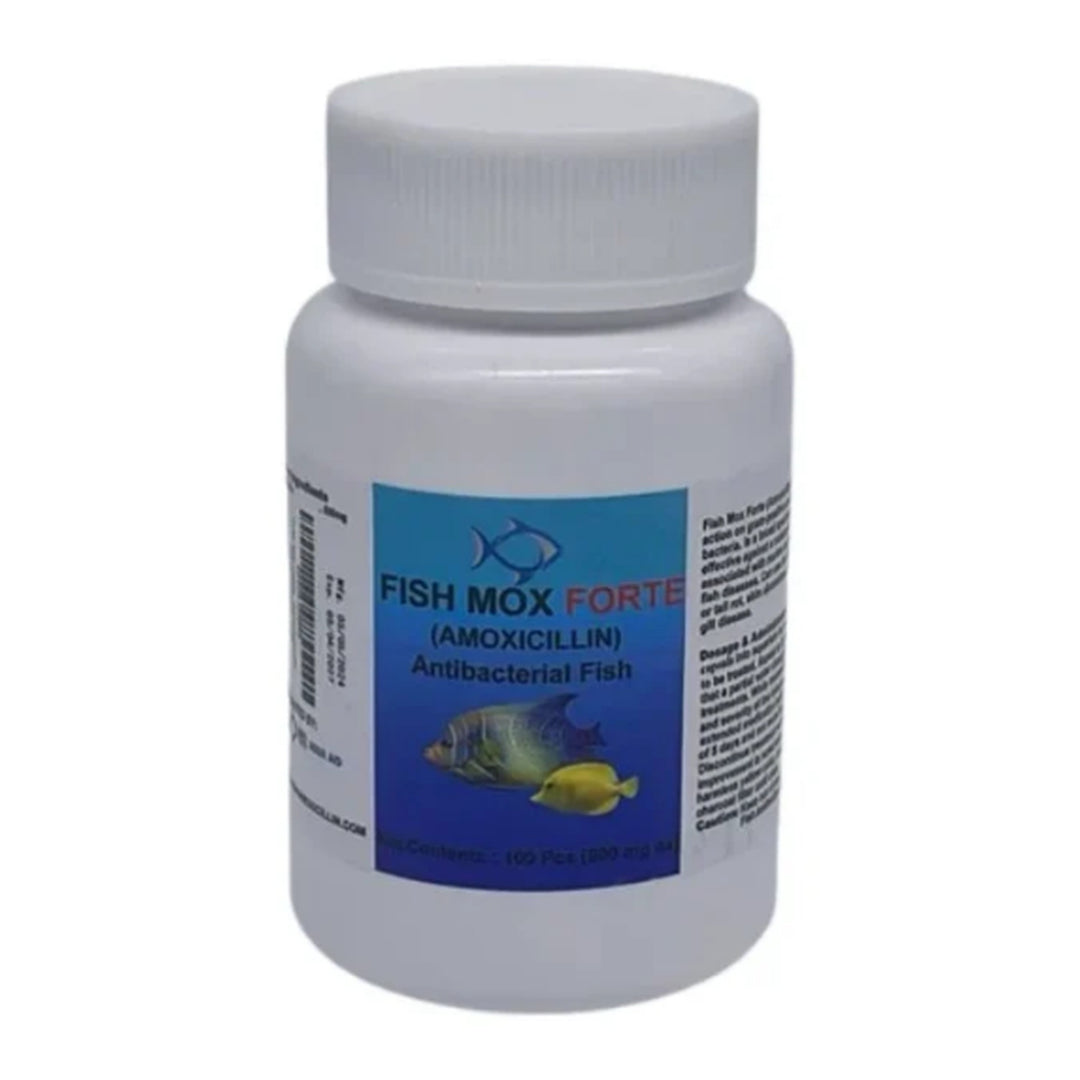Fish Mox 500mg