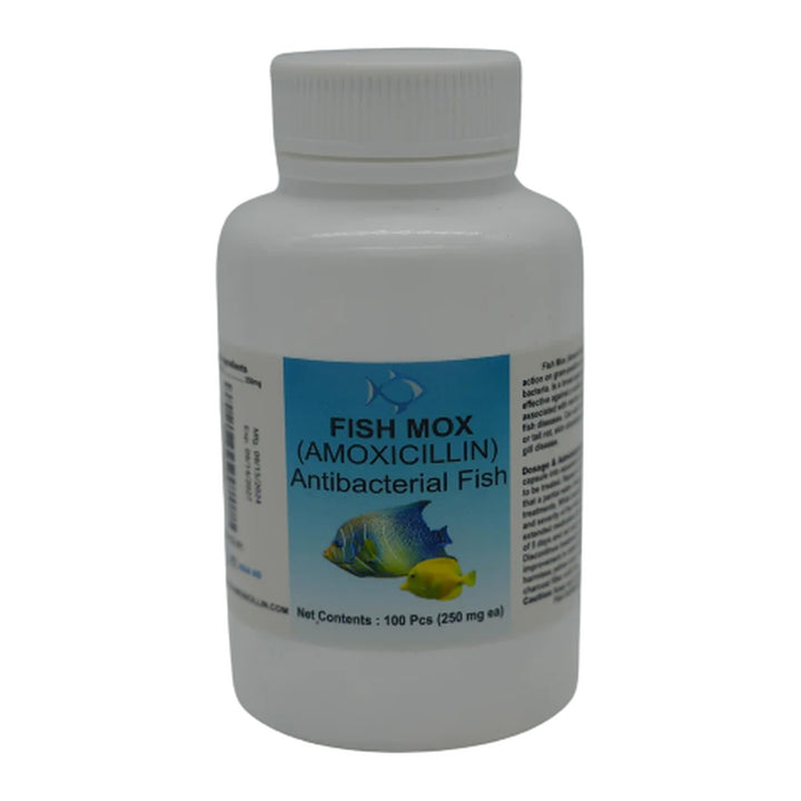 Fish Mox  Amoxicillin 250 mg Capsules