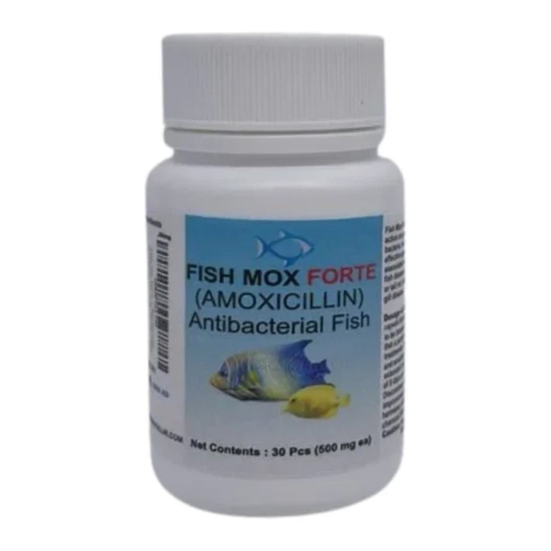 Fish Mox Amoxicillin 250 mg (30 Count)