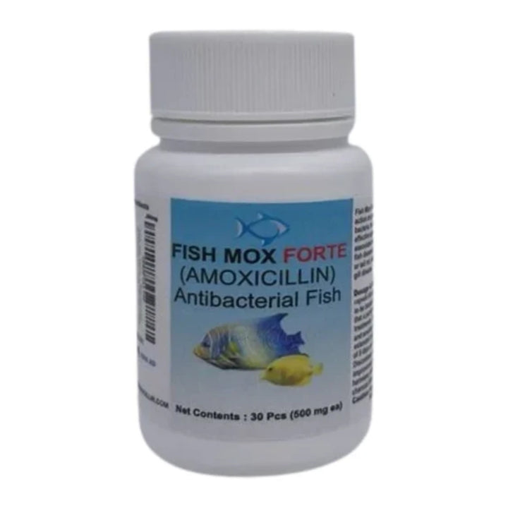 Fish Mox Amoxicillin 250 mg (30 Count)