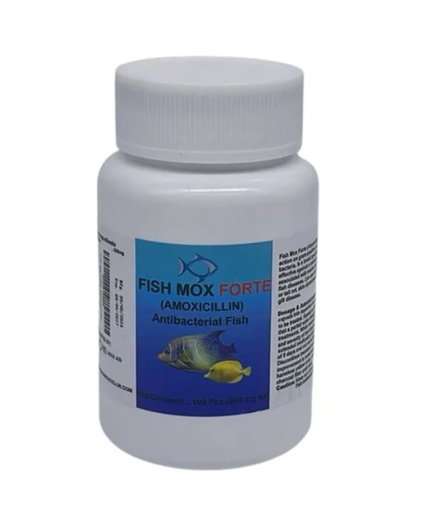 Fish Mox Forte Amoxicillin 500 mg Capsules (100 Count)