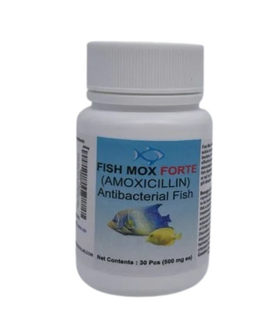 Fishbiotic Amoxicillin 500mg 30 Capsules