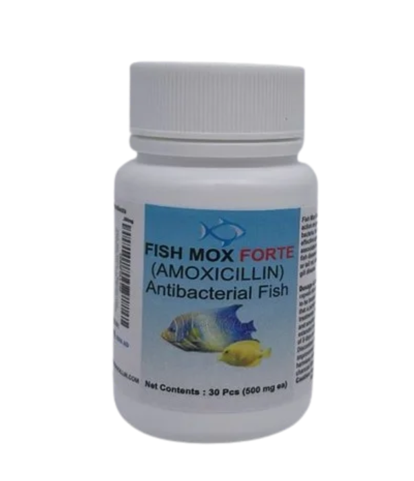 Fish Mox Forte - Amoxicillin 500 mg Capsules (30 Count) 30 - Juicy Skate