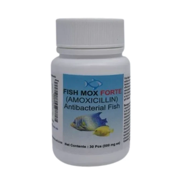 Fish Mox Forte - Amoxicillin 500 mg Capsules (30 Count) 30 - Juicy Skate